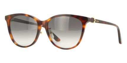 Cartier CT0186SA 005