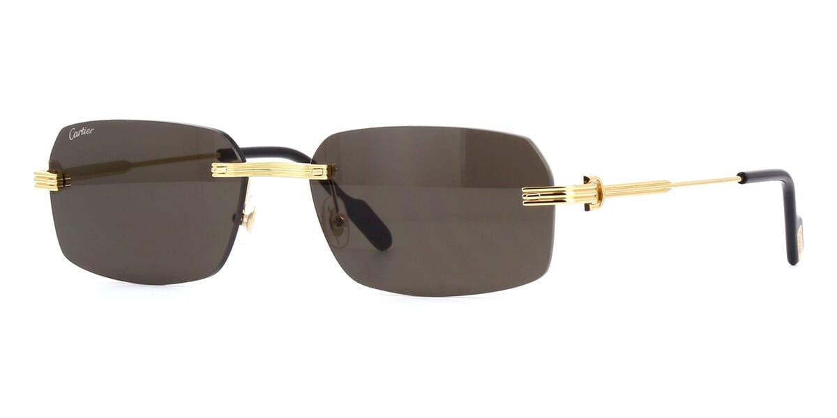 cartier-ct0271s-001-hd-1