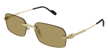 Cartier CT0271S 009