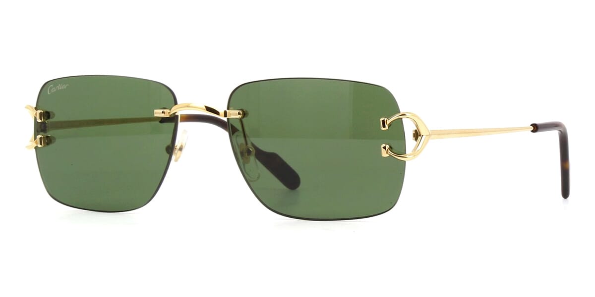 cartier-ct0330s-002-hd-1