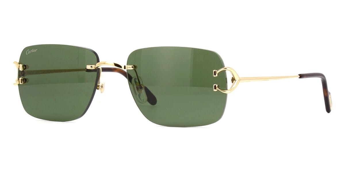 cartier-ct0330s-005-hd-1