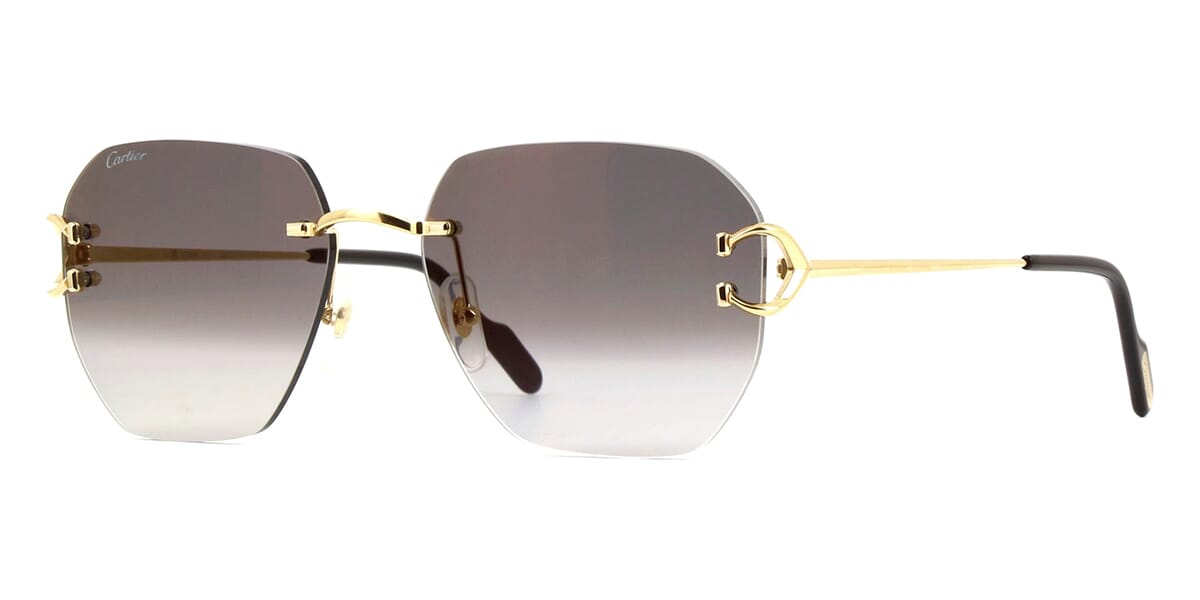 cartier-ct0394s-001-hd-1