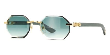 Cartier CT0439S 004