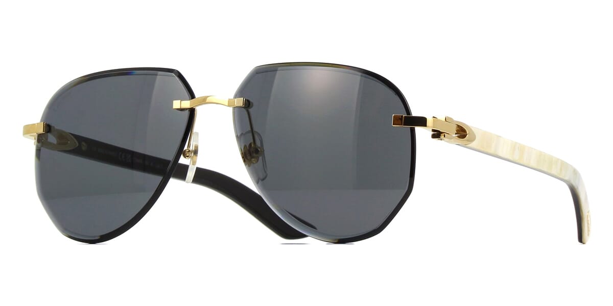 cartier-ct0440s-002-hd-1