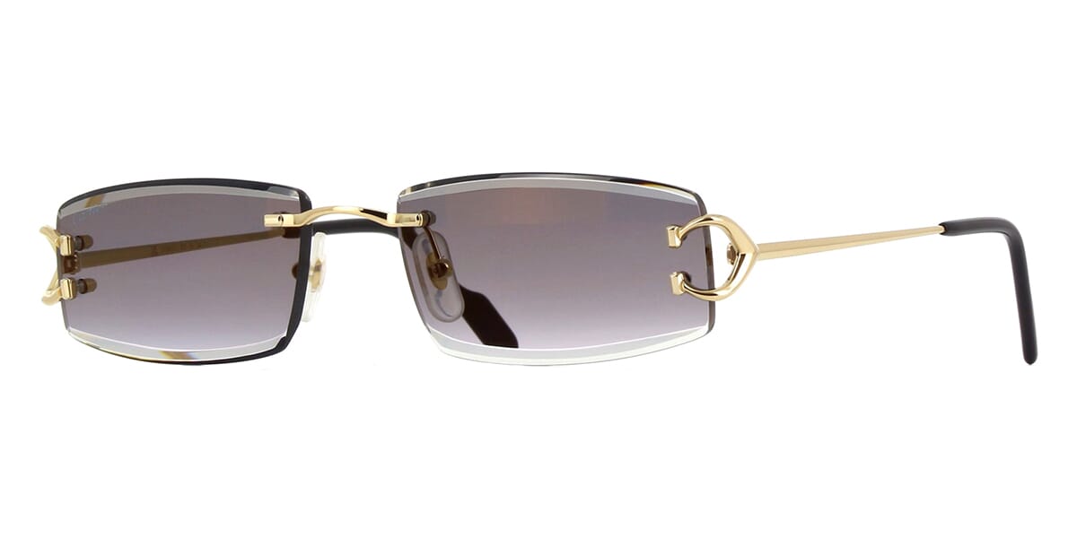 cartier-ct0465s-001-hd-1