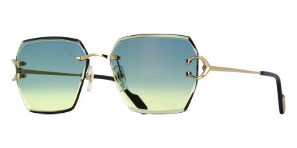 Cartier CT0466S 003
