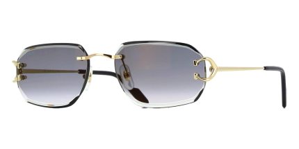 Cartier CT0468S 001