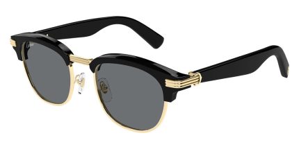 Cartier CT0496S 003