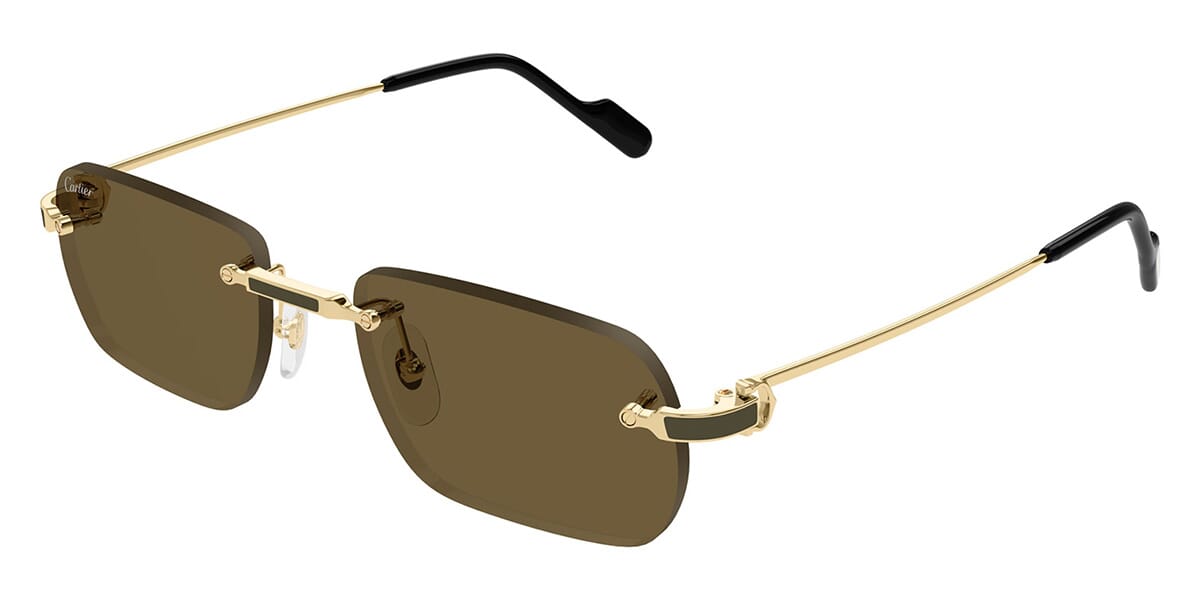 cartier-ct0498s-005-hd-1