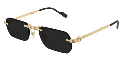 Cartier CT0499S 001