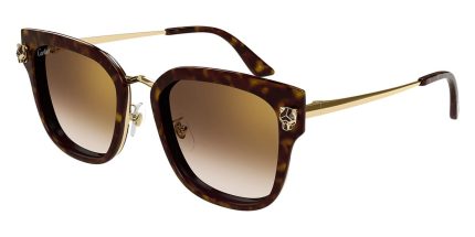 Cartier CT0509SA 002