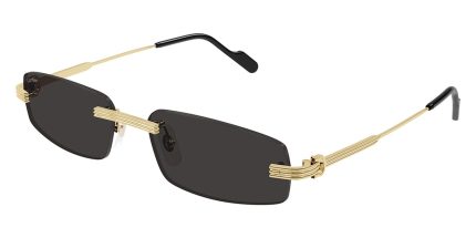 Cartier CT0535S 001