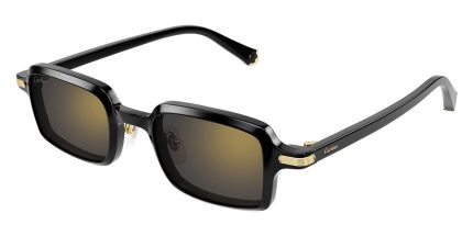 Cartier CT0539S 001