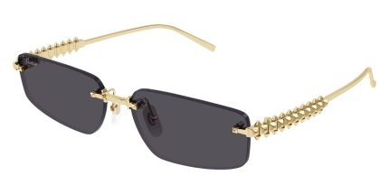Cartier CT0544S 002