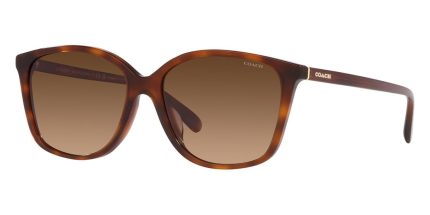 Coach CH558 HC8361U 5741/74