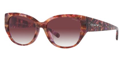 Coach CH563 HC8362U 5739/8H