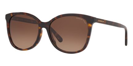 Coach HC8271U L1101 5120/T5 Polarised