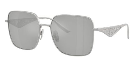 Dolce&Gabbana DG2310 1364/8V