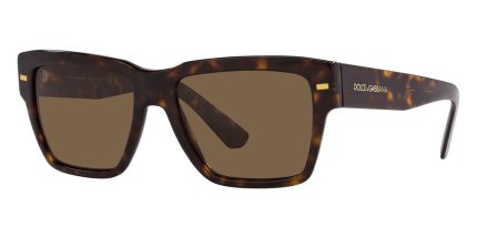 Dolce&Gabbana DG4431 502/73