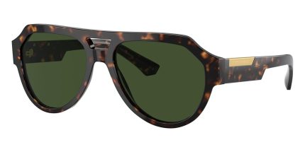 Dolce&Gabbana DG4466 502/71