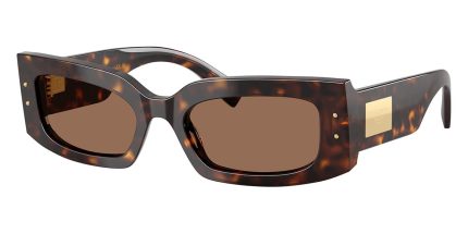 Dolce&Gabbana DG4479 502/73
