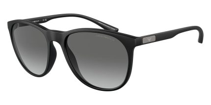 Emporio Armani EA4210 5001/11