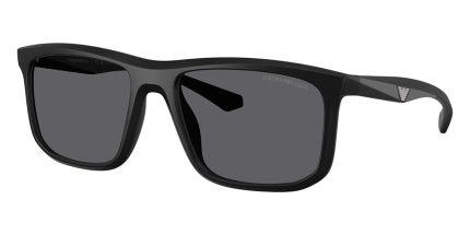 Emporio Armani EA4234U 5001/T3 Polarised
