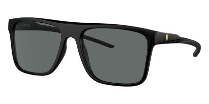 Ferrari Scuderia FZ6006 504/81 Polarised