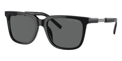 Giorgio Armani AR8202U 5875/87