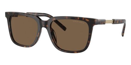 Giorgio Armani AR8202U 5879/73