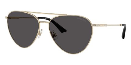 Jimmy Choo JC4002B 3017/87