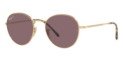 Ray-Ban David RB 3582 001/AF Polarised