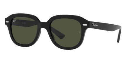 Ray-Ban Erik RB 4398 901/31