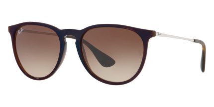 Ray-Ban Erika RB 4171 6315/13 - As Seen On Ashley Benson
