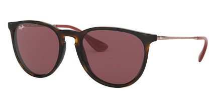 Ray-Ban Erika RB 4171 6391/75
