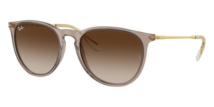 Ray-Ban Erika RB 4171 6744/13
