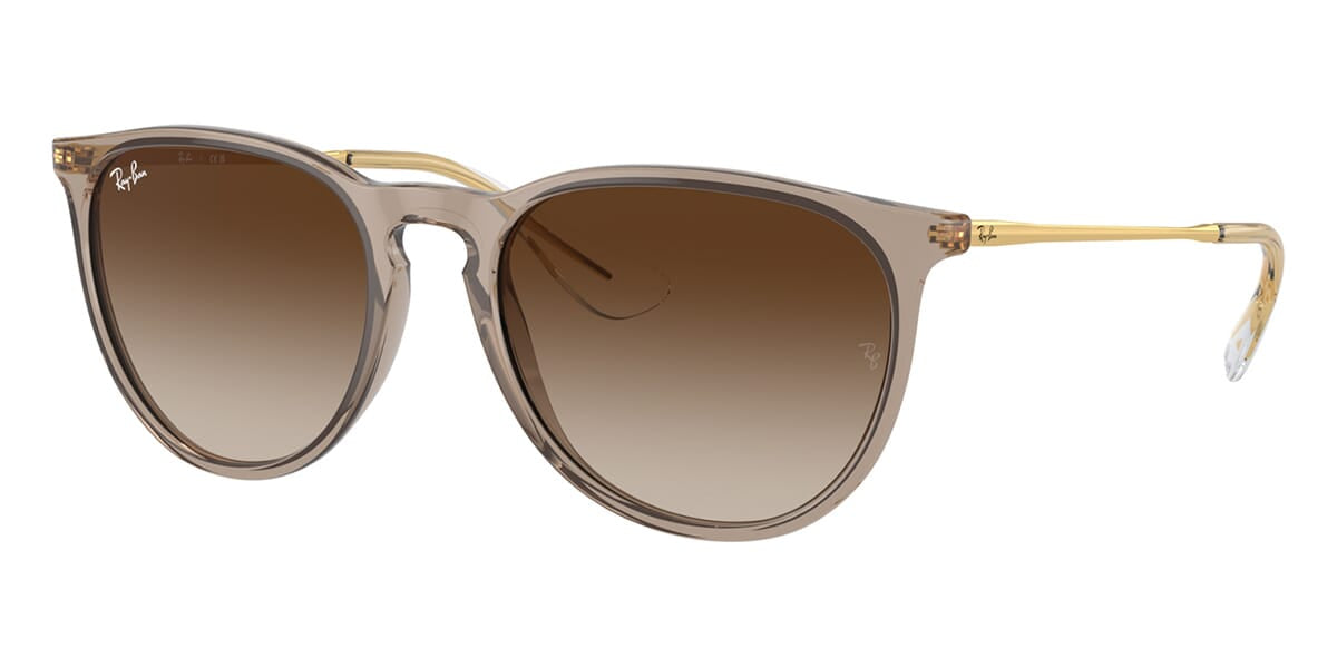ray-ban-erika-rb-4171-674413-hd-1
