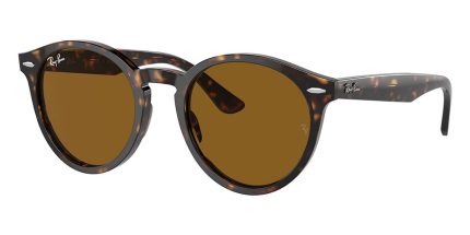 Ray-Ban Larry RB 7680S 902/33