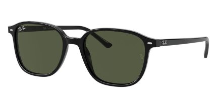 Ray-Ban Leonard RB 2193 901/31