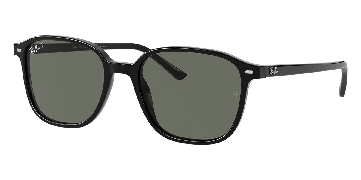 ray-ban-leonard-rb-2193-90158-polarised-hd-1