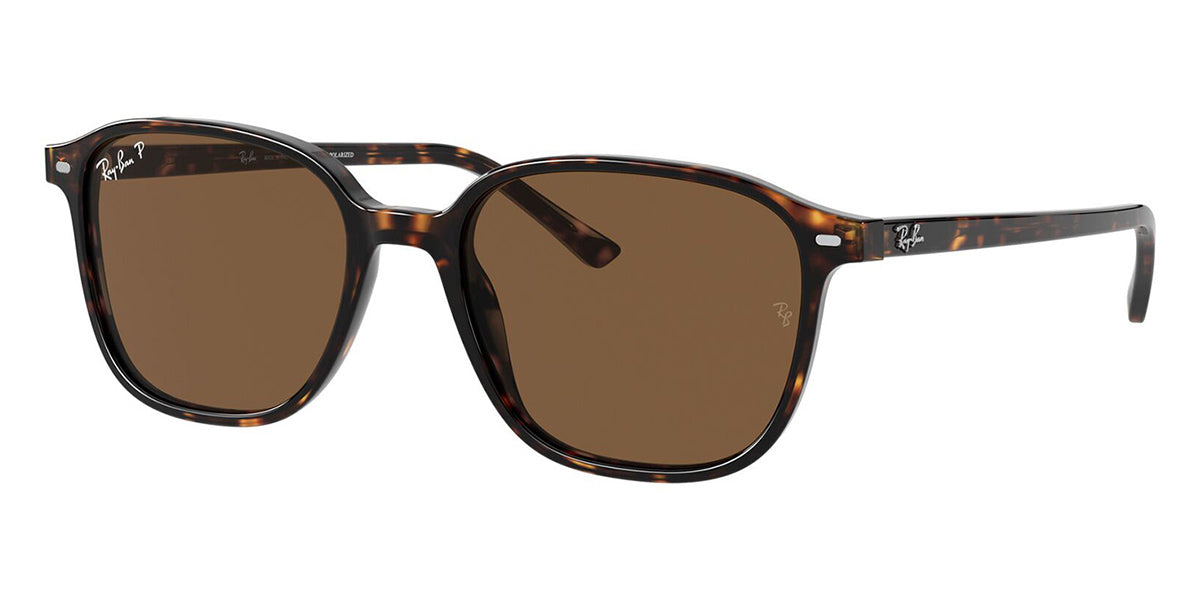 ray-ban-leonard-rb-2193-90257-polarised-hd-1