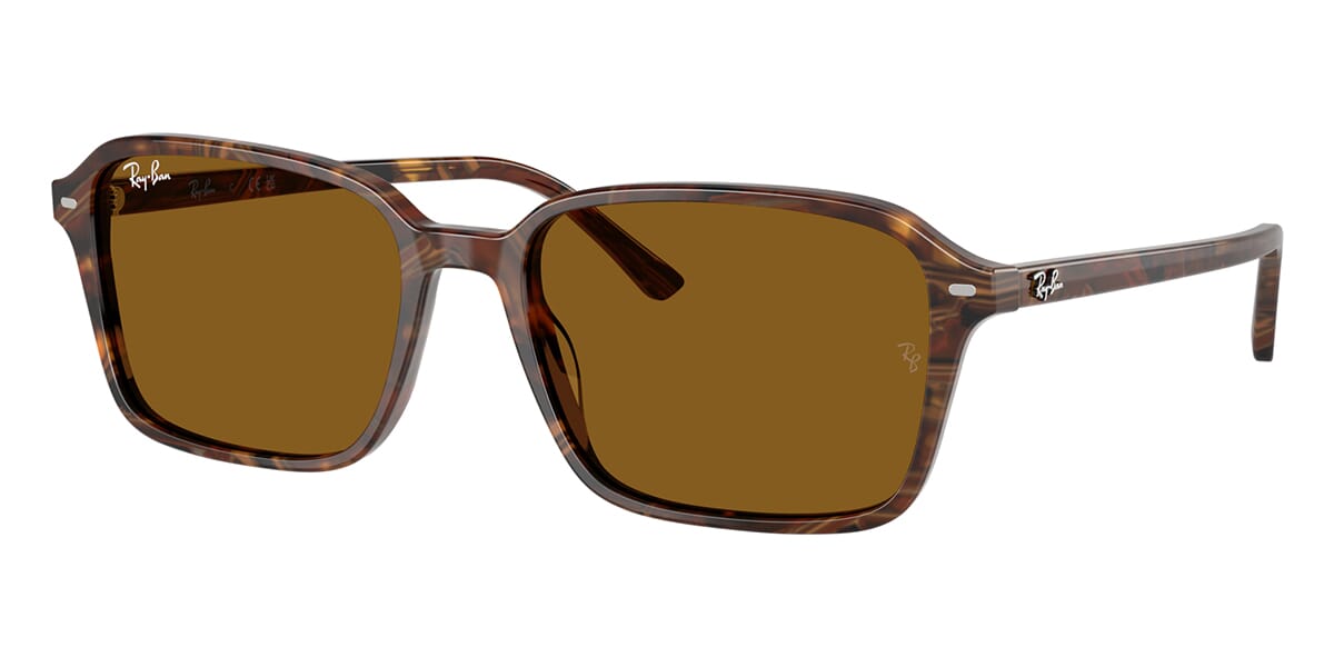 ray-ban-raimond-rb-2231-141833-hd-1