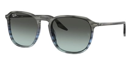 Ray-Ban RB 2203 1391/GK