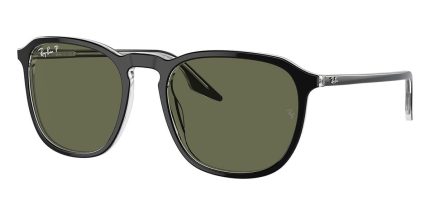 Ray-Ban RB 2203 919/58 Polarised