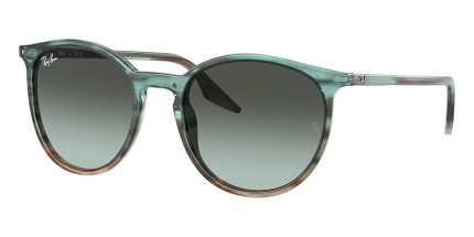 Ray-Ban RB 2204 1394/GK