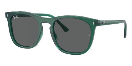 Ray-Ban RB 2210 6615/B1