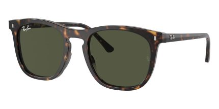 Ray-Ban RB 2210 902/31