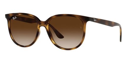 Ray-Ban RB 4378 710/13