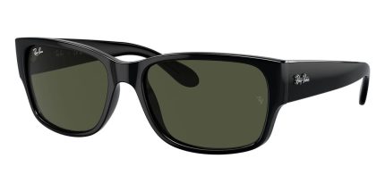 Ray-Ban RB 4388 601/31