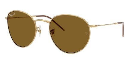 Ray-Ban Round Reverse RB R0103S 001/83 Polarised